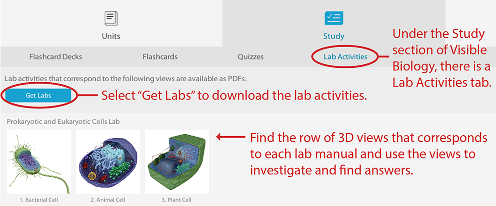 bio_lab_pdf_instructions_support_get_labs_image_1000.png