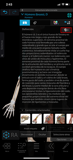 listen-mobile-es.png