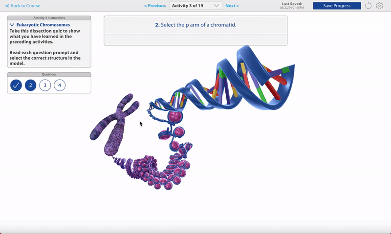dissectionnavgif-ezgif.com-speed.gif