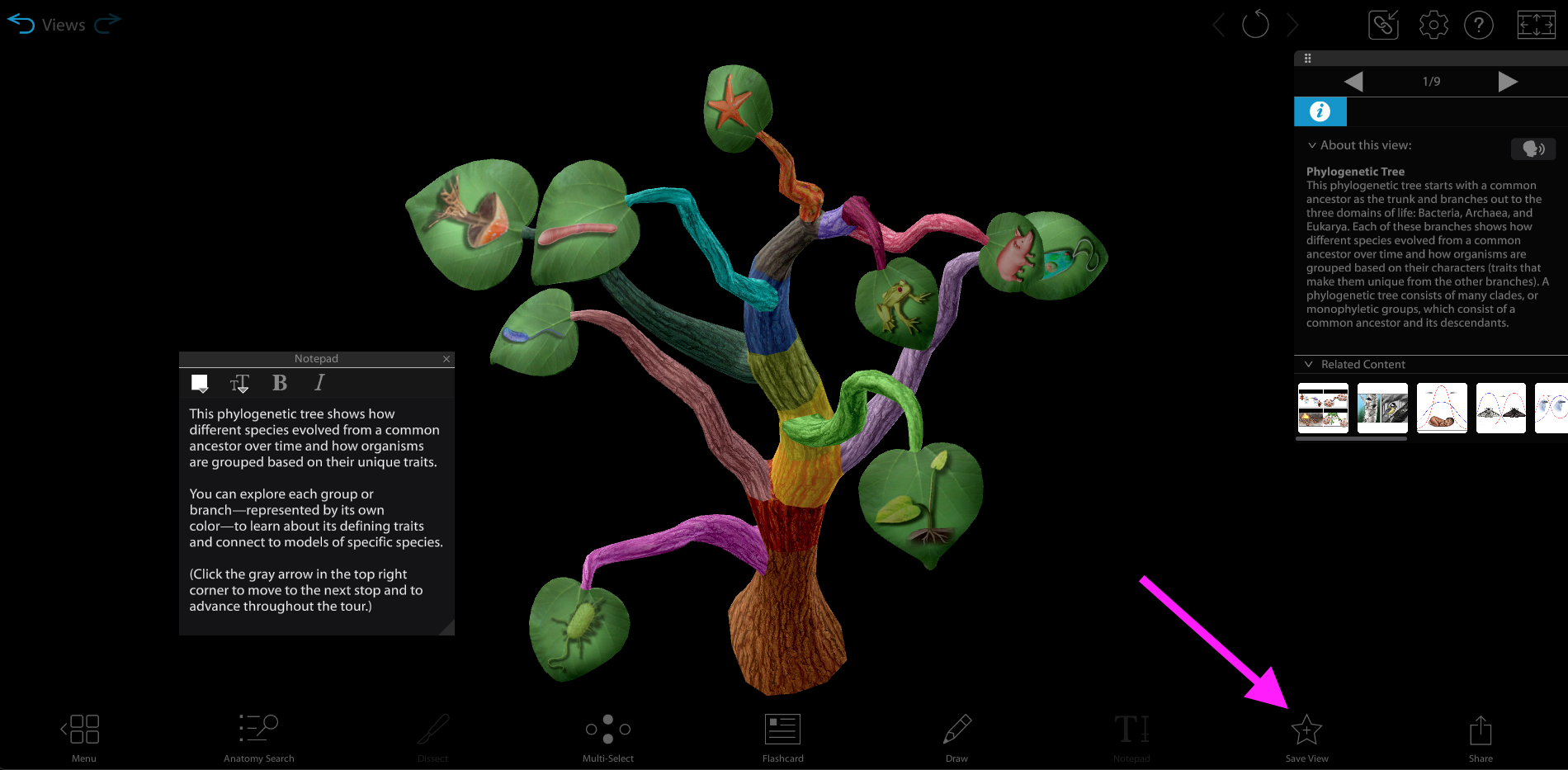 Screenshot 2024-05-30 at 4.57.30 PM.png