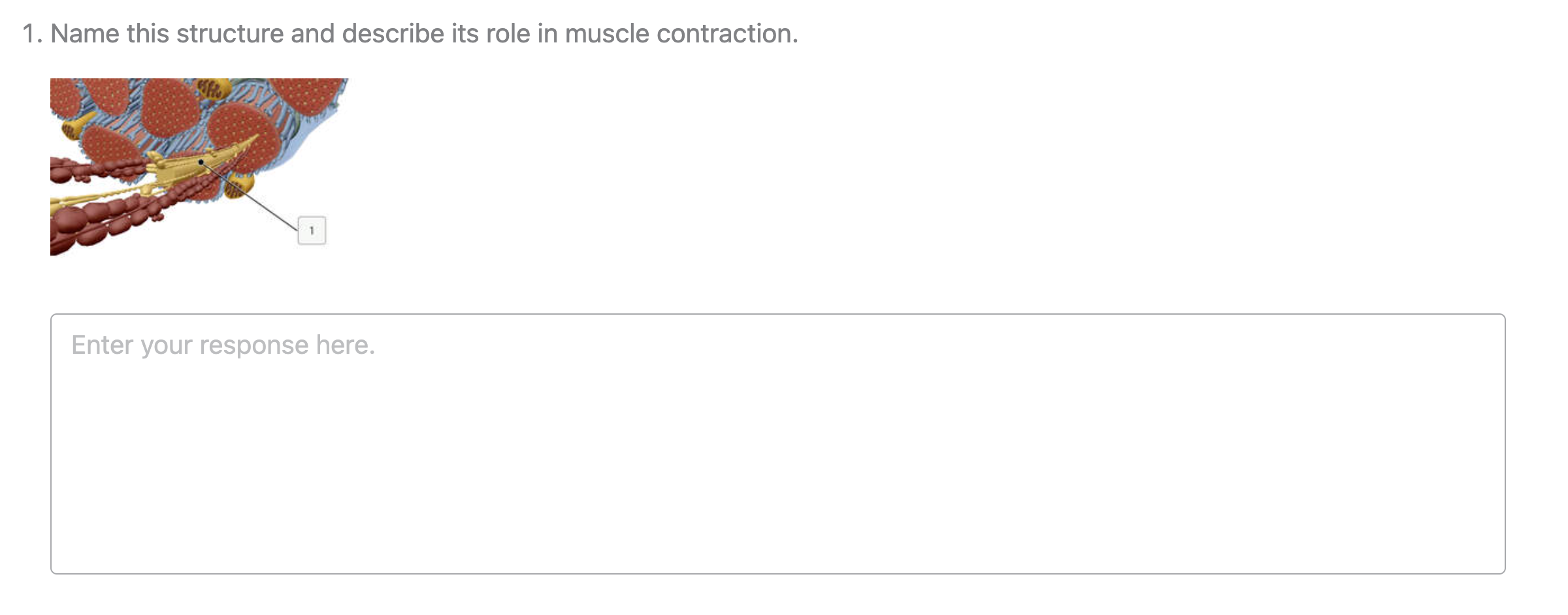fill in the blank example.png