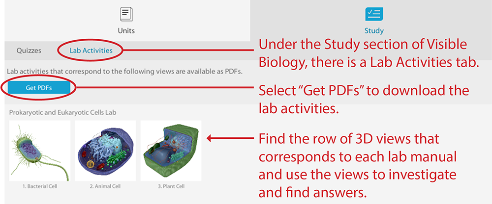 bio_lab_pdf_instructions_support_get_pdf_image_1000.png